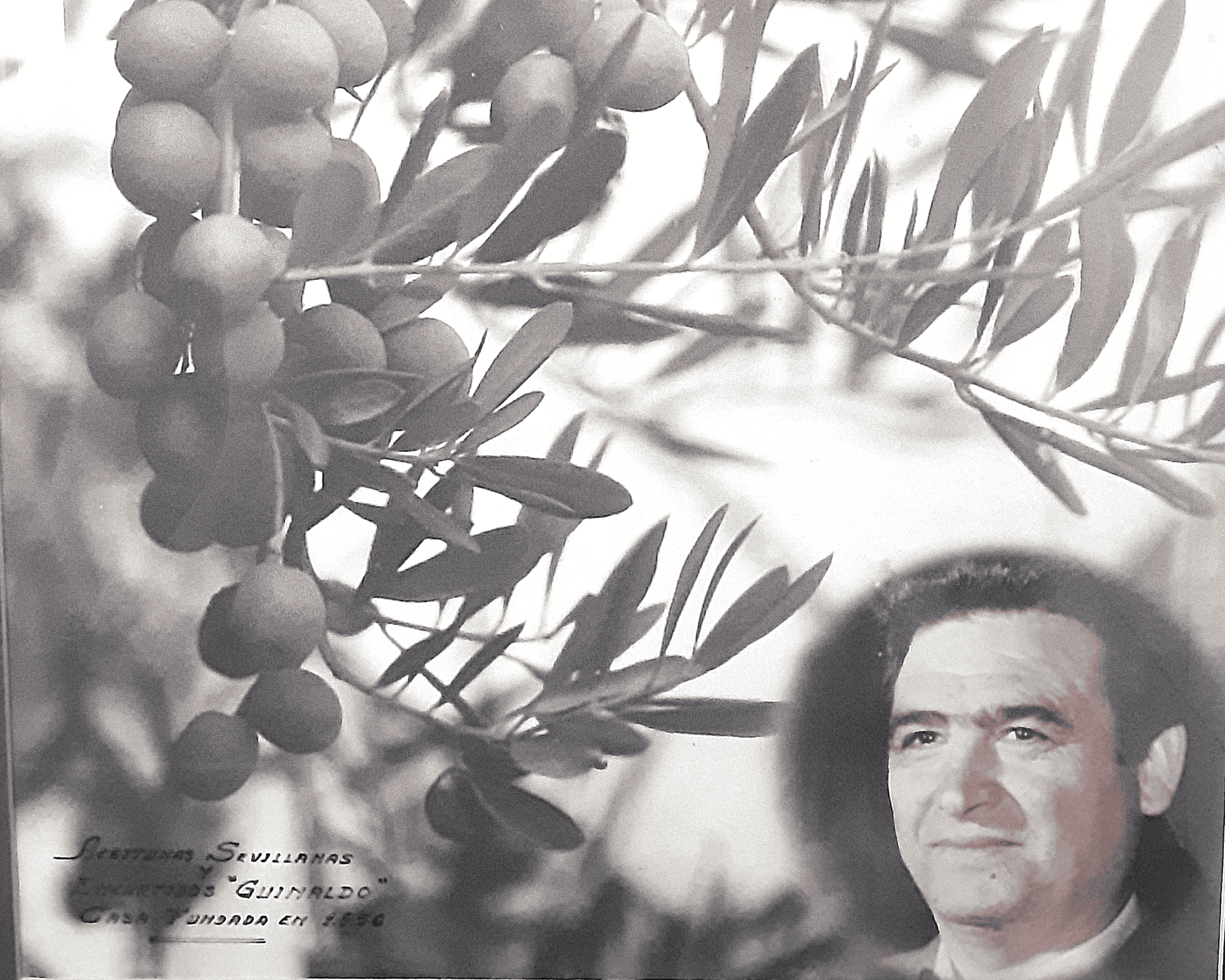 Desiderio Guinaldo, fundador de Aceitunas Guinaldo, atendiendo en el puesto del mercado